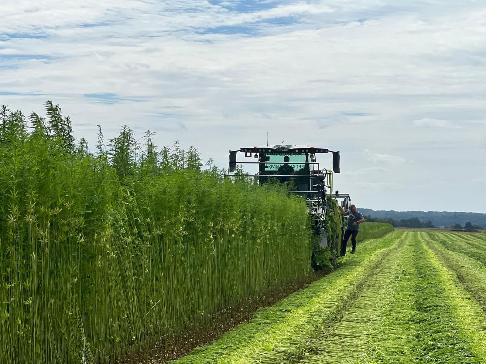 From idea to reality: a European hemp textile value chain ...